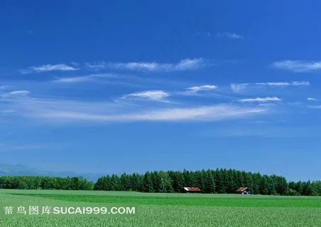 陆地旷野两座房子