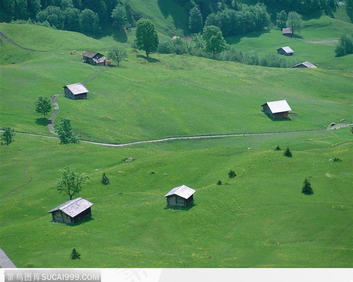 草地房屋道路