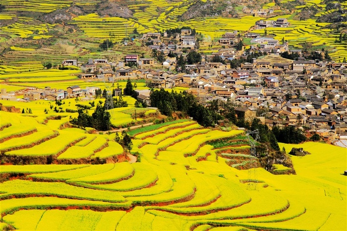 山村的田野梯田风景图片