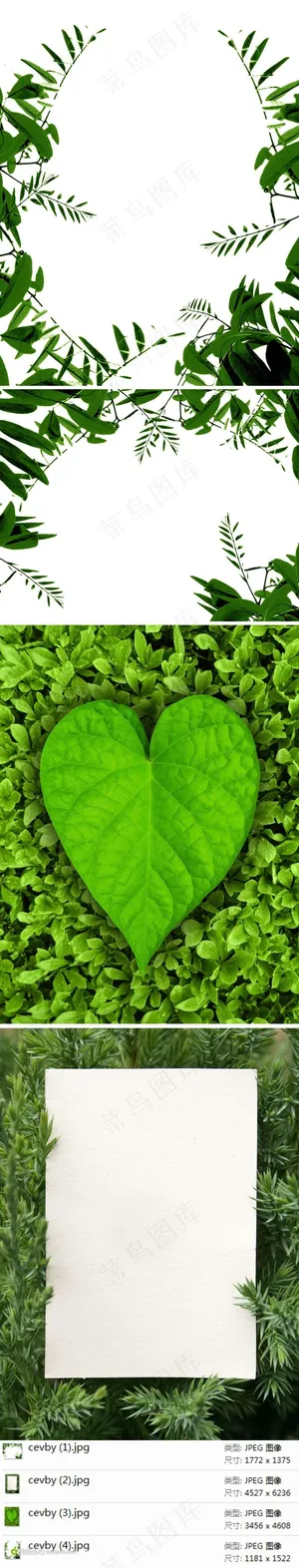 环保树叶边框素材 环保树叶边框素材