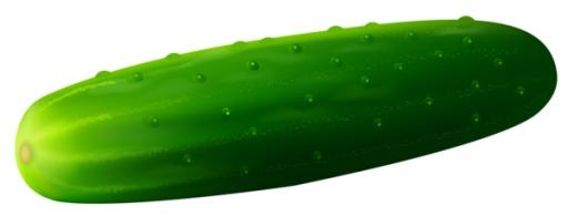 绿色黄瓜 PNG免抠(600x229)