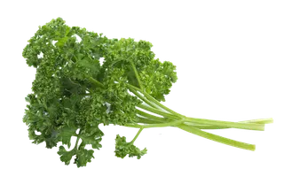 西洋菜 (4)超市商品白底图免抠实物摄影png格式图片透明底