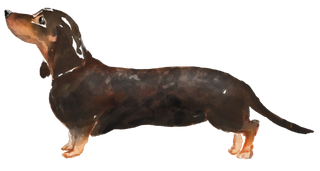 狗狗水彩画插画免扣素材可爱宠物狗