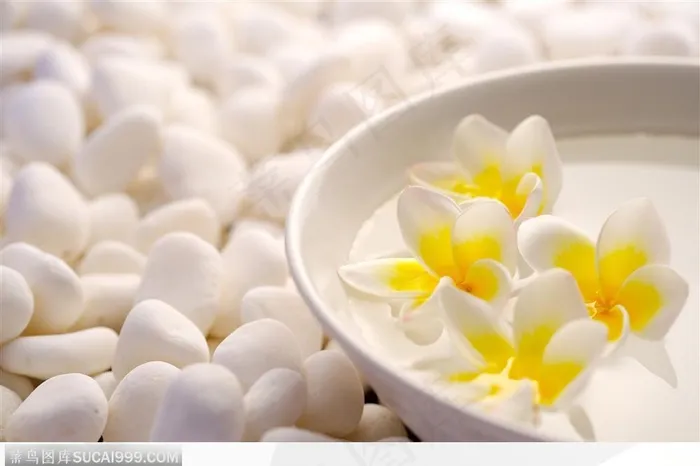 SPA气氛-碗中的四朵黄色花朵