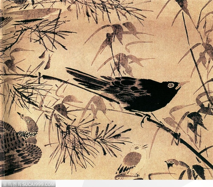 花鸟篇-松竹树中的鸟儿