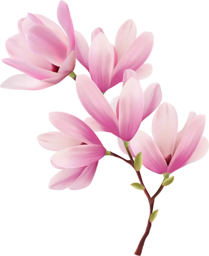 粉色花朵卡通素材春季谷雨