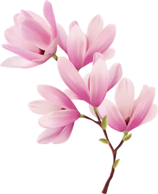 粉色花朵卡通素材春季谷雨