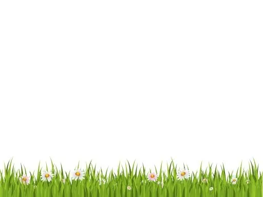 草 png 图像, 绿色图片免抠(2958x898)