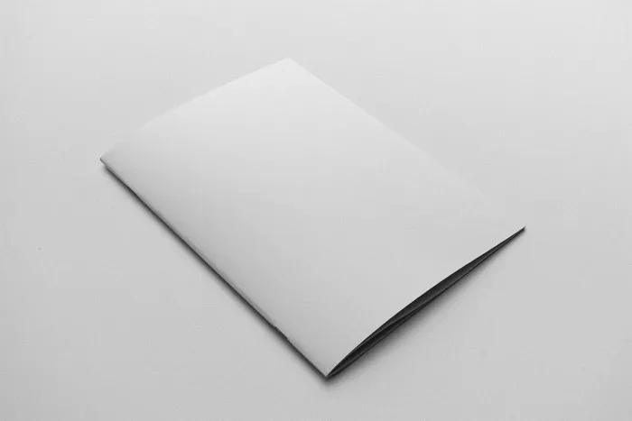 灰色简约大气画册样机psd模版下载