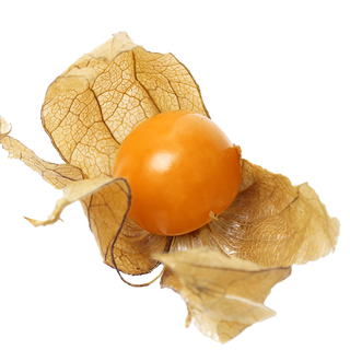 54灯笼果 (2)水果超市商品白底图免抠实物摄影png格式图片透明底