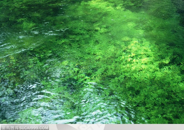 细水长流-绿油油的水面