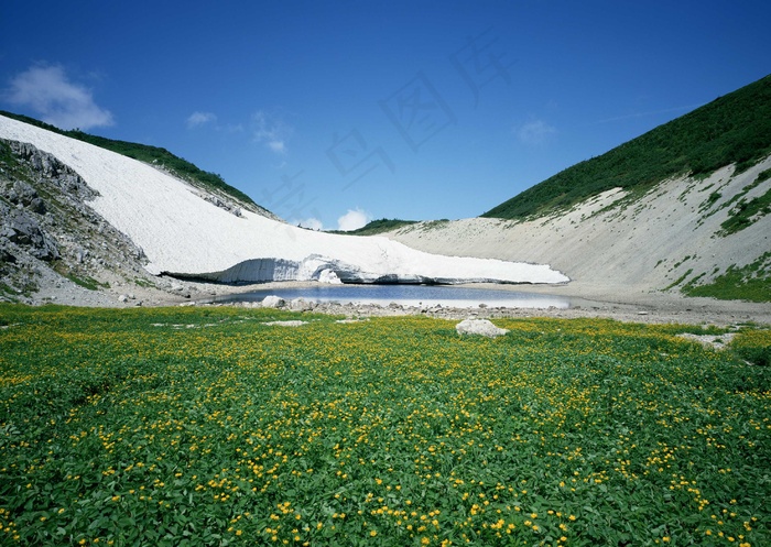 绿树山水 124