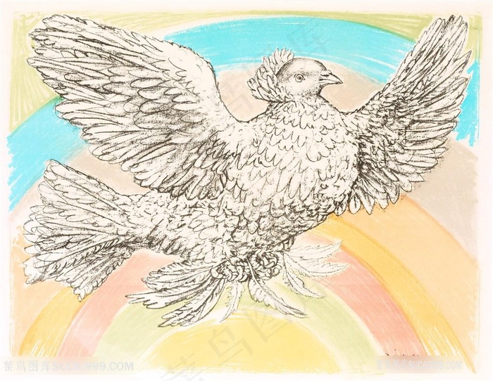 毕加索唯美飞鸟鸽子装饰画