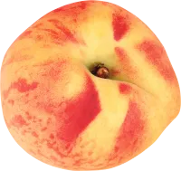 113_peach_PNG4837