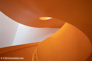 橙黄色螺旋不规则形状