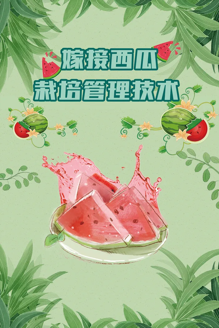 嫁接西瓜栽培管理农业技术海报psd模版下载