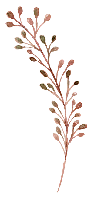 唯美森系手绘水彩花朵 免抠