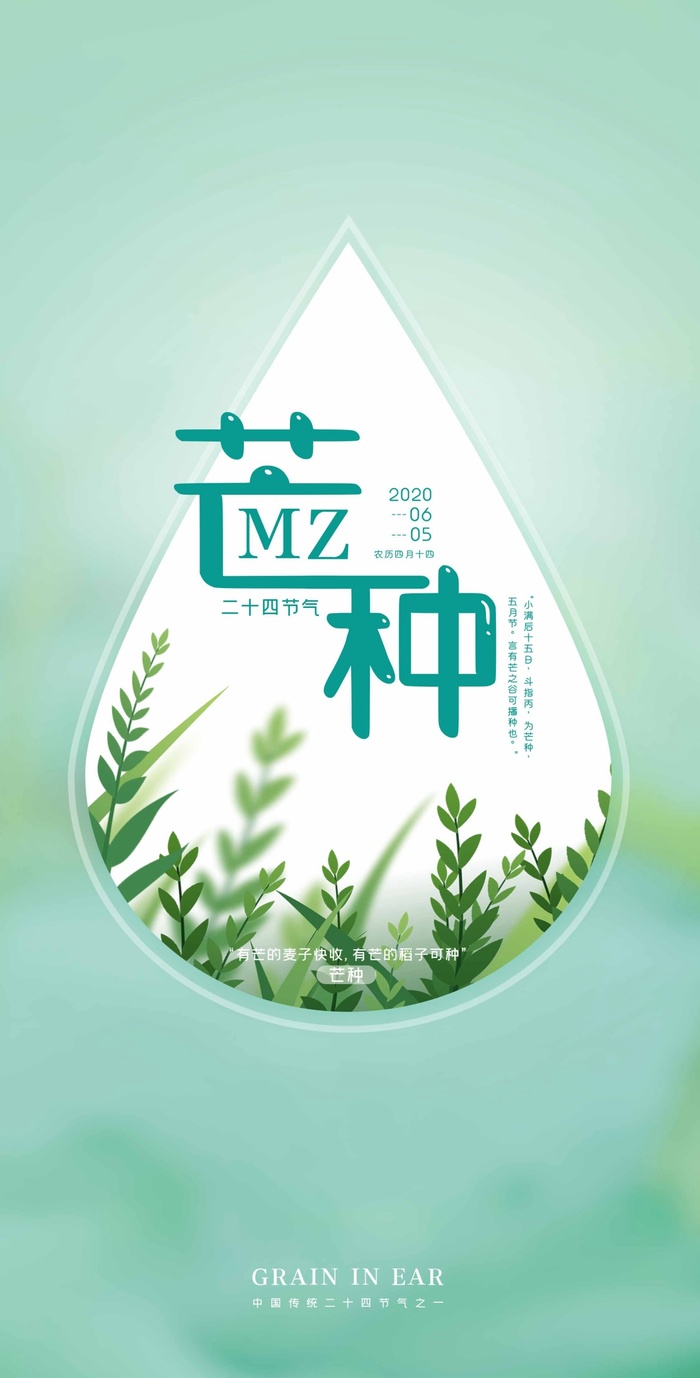 芒种 芒种海报图片psd模版下载