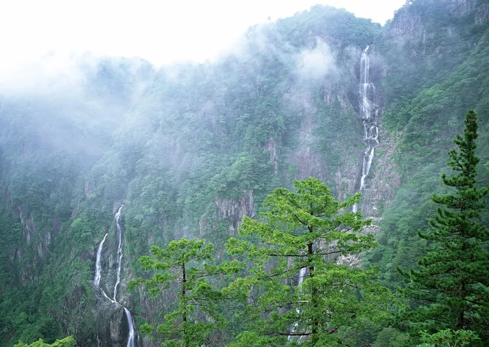 绿树山水 252