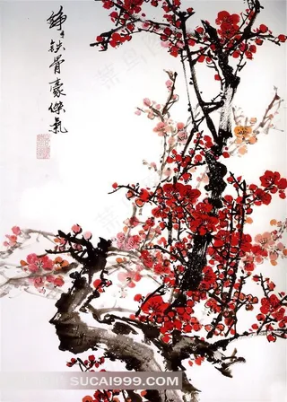 腊梅迎春绘画图片