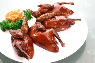 XTS040江湖篇--吊烧乳鸽