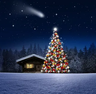 房屋和一颗圣诞树