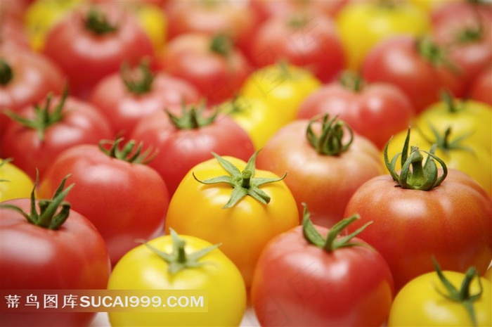 西红柿番茄高清图片素材