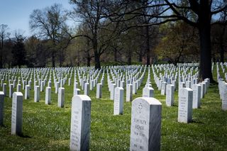 阿灵顿国家公墓图片