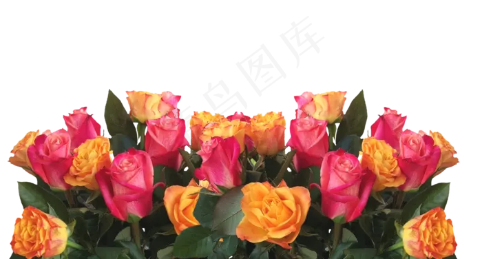 玫瑰, 花, 自然, 花园, 浪漫的