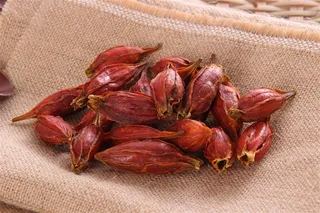 清热凉血黄栀子素材