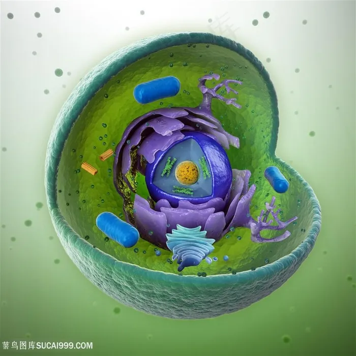 细菌病毒微生物研究
