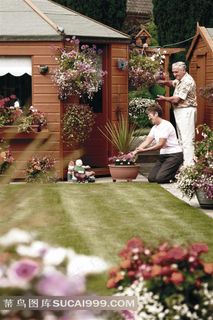 在花园浇花的老年夫妇 在花园浇花的老年夫妇