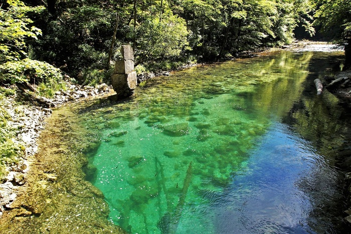森林中的湖水摄影