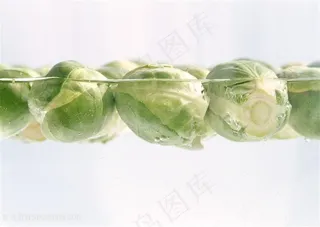 新鲜包菜蔬菜高清素材