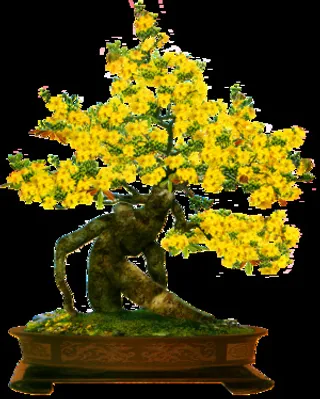 桃花盆装饰新年背景