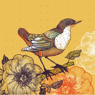 手绘 插画鸟 画眉鸟 手绘 插画鸟 画眉鸟