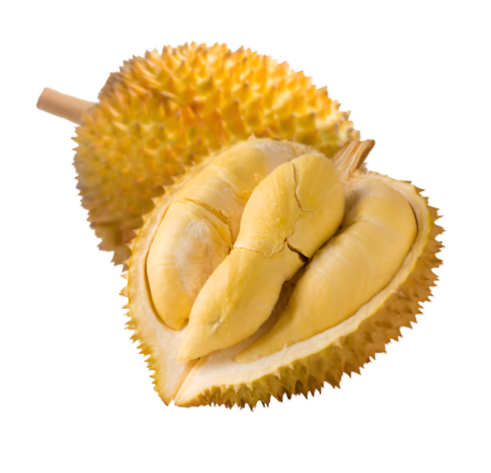 榴莲食物免抠素材