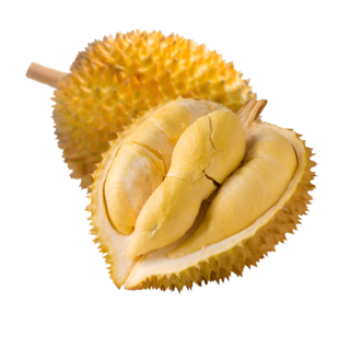榴莲食物免抠素材