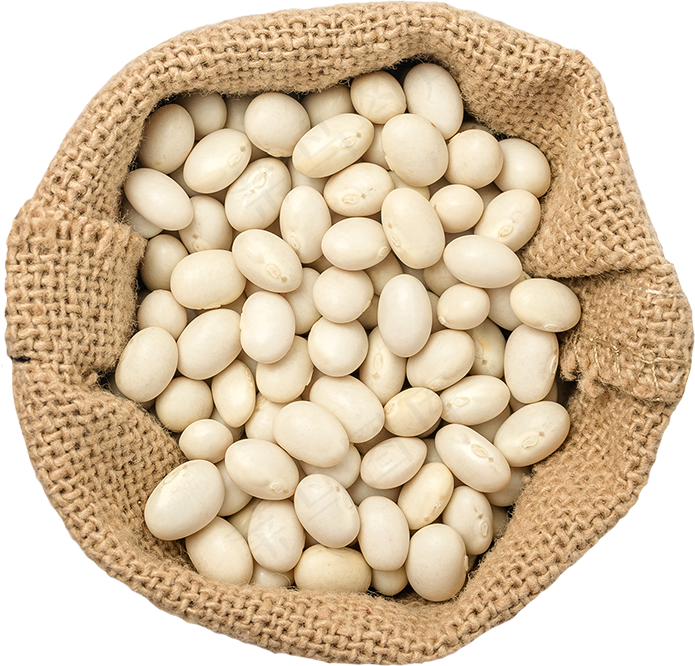 04_White Beans Bag