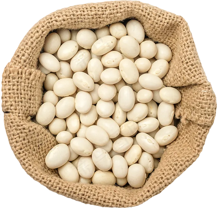 04_White Beans Bag