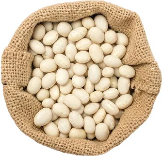 04_White Beans Bag