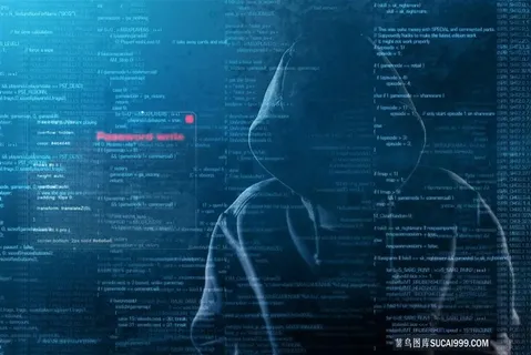 黑客编写数码信息 黑客编写数码信息