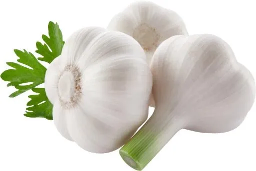 大蒜免抠(5001x3360)