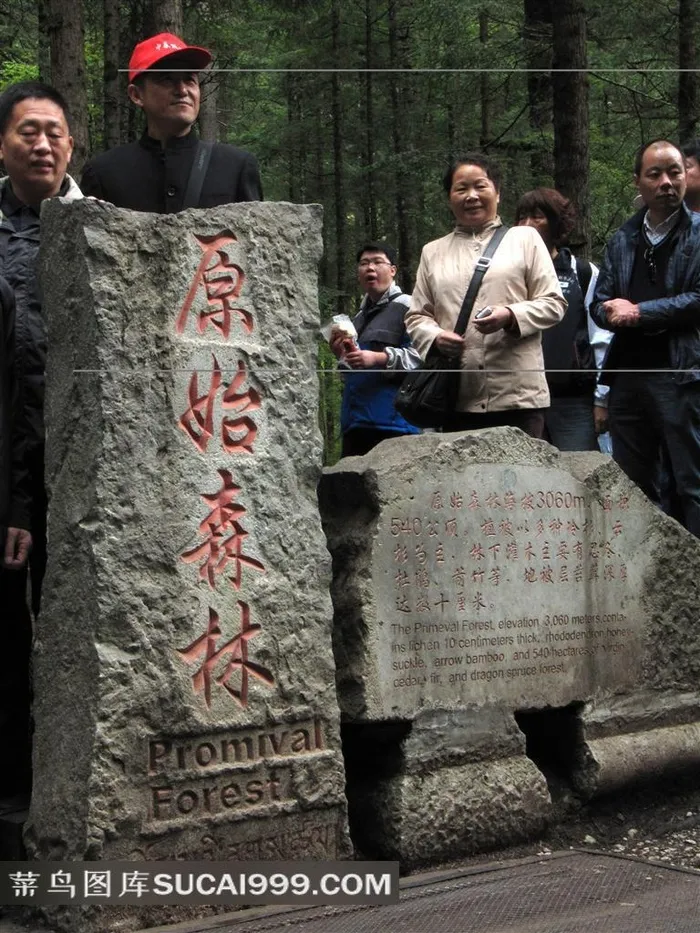 四川旅游风景九寨沟原始森林