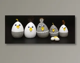 小鸡仔另类创意图片