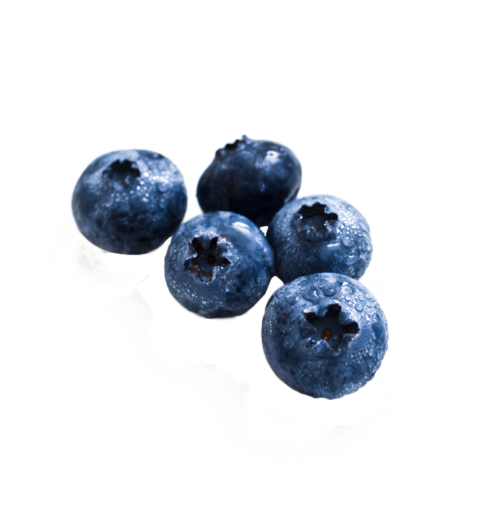 蓝莓  蓝莓  蓝莓