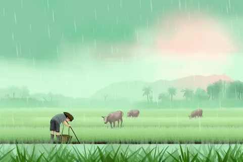 雨天农民插秧种植背景