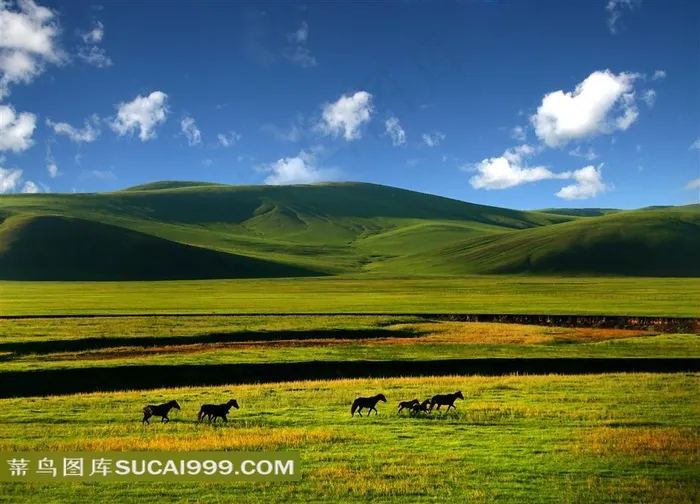 呼伦贝尔大草原美景摄影高清图片
