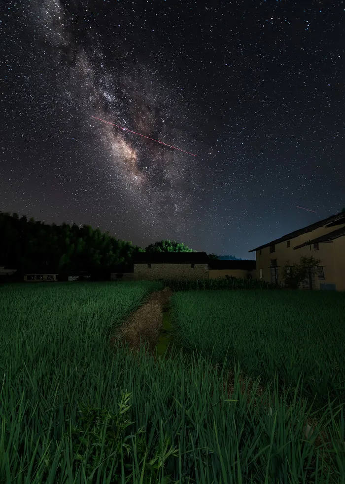 夜景麦地 麦田 黑夜 