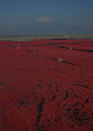 山脉图片